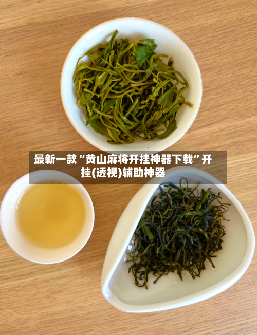 最新一款“黄山麻将开挂神器下载”开挂(透视)辅助神器-第2张图片