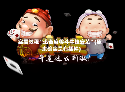 实操教程“迅奇麻将斗牛挂安装	”(原来确实是有插件)-第2张图片