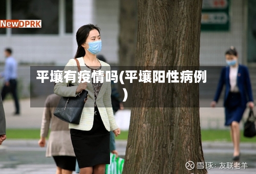 平壤有疫情吗(平壤阳性病例)-第2张图片