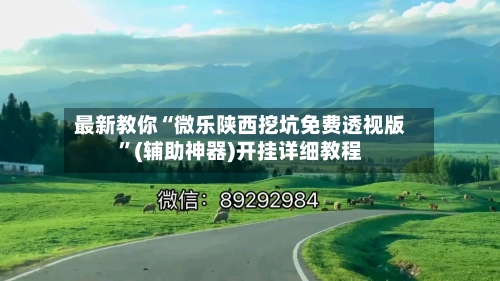 最新教你“微乐陕西挖坑免费透视版”(辅助神器)开挂详细教程-第2张图片