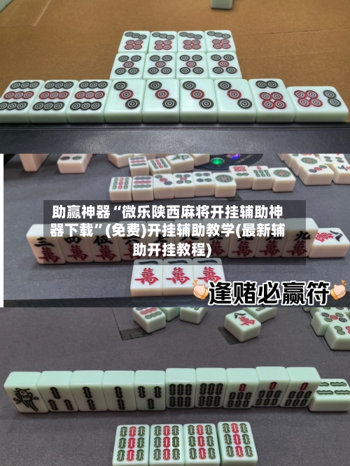 助赢神器“微乐陕西麻将开挂辅助神器下载”(免费)开挂辅助教学(最新辅助开挂教程)-第2张图片