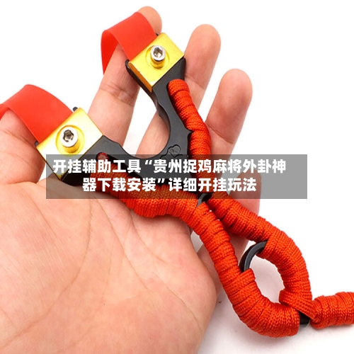 开挂辅助工具“贵州捉鸡麻将外卦神器下载安装”详细开挂玩法-第2张图片