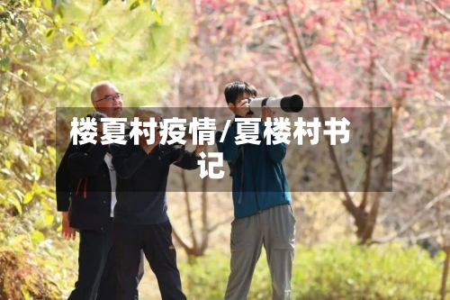 楼夏村疫情/夏楼村书记-第3张图片