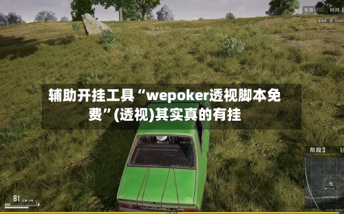 辅助开挂工具“wepoker透视脚本免费	”(透视)其实真的有挂-第2张图片