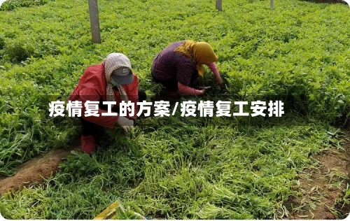 疫情复工的方案/疫情复工安排