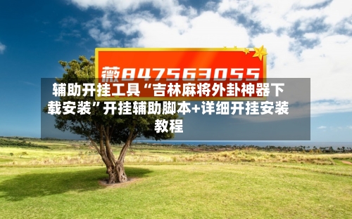 辅助开挂工具“吉林麻将外卦神器下载安装	”开挂辅助脚本+详细开挂安装教程-第2张图片