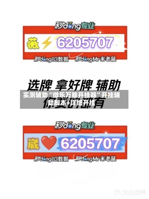 实测辅助“微乐万能开挂器”开挂辅助脚本+详细开挂-第3张图片