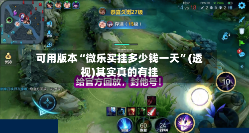 可用版本“微乐买挂多少钱一天”(透视)其实真的有挂-第3张图片