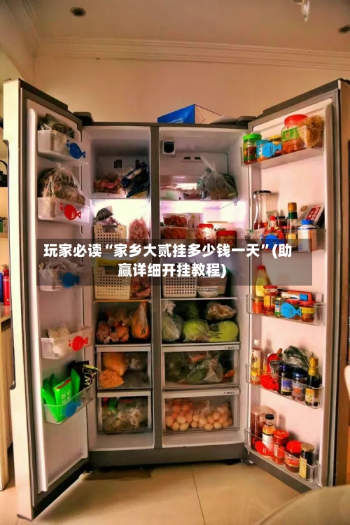 玩家必读“家乡大贰挂多少钱一天”(助赢详细开挂教程)-第2张图片