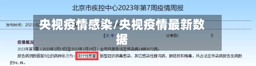 央视疫情感染/央视疫情最新数据-第2张图片