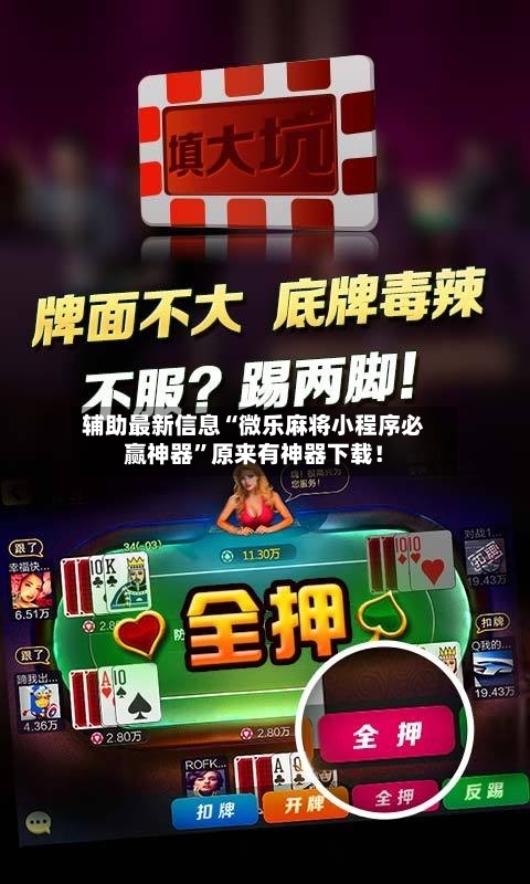 辅助最新信息“微乐麻将小程序必赢神器”原来有神器下载！-第3张图片