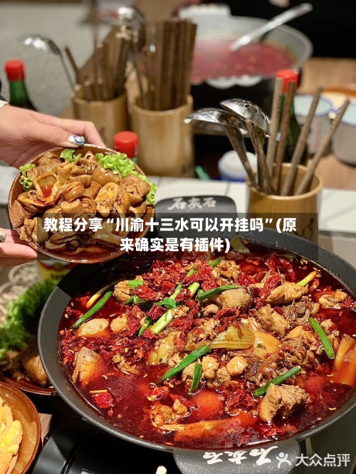 教程分享“川渝十三水可以开挂吗”(原来确实是有插件)