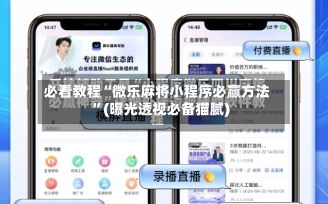 必看教程“微乐麻将小程序必赢方法”(曝光透视必备猫腻)-第3张图片