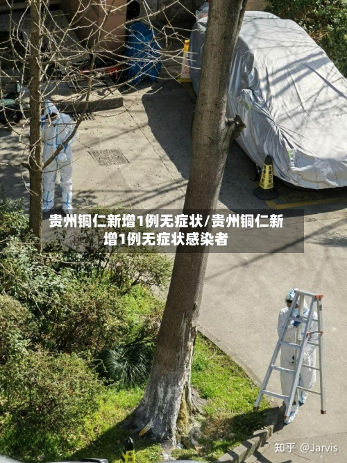 贵州铜仁新增1例无症状/贵州铜仁新增1例无症状感染者