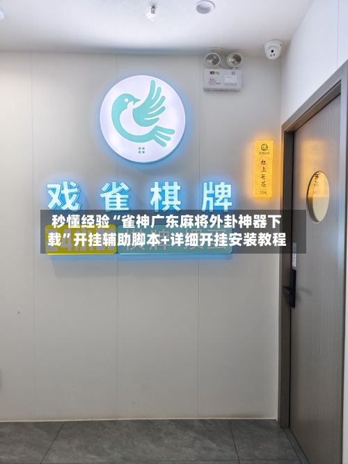 秒懂经验“雀神广东麻将外卦神器下载”开挂辅助脚本+详细开挂安装教程-第3张图片