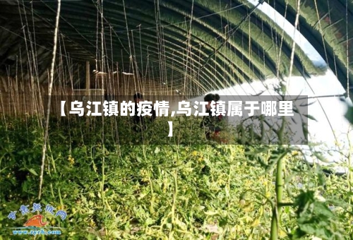 【乌江镇的疫情,乌江镇属于哪里】