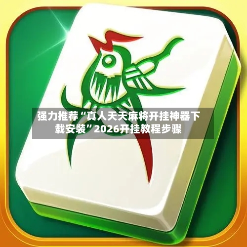 强力推荐“真人天天麻将开挂神器下载安装”2026开挂教程步骤-第2张图片