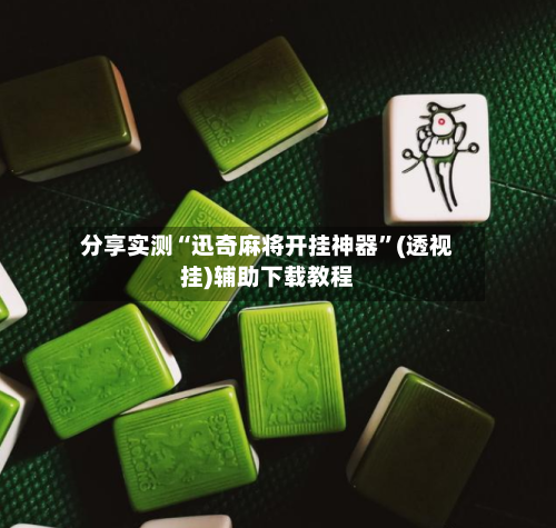 分享实测“迅奇麻将开挂神器	”(透视挂)辅助下载教程-第2张图片