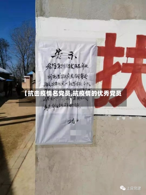 【抗击疫情名党员,抗疫情的优秀党员】-第3张图片