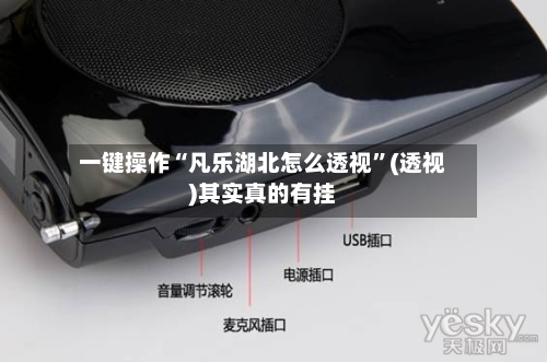 一键操作“凡乐湖北怎么透视”(透视)其实真的有挂-第3张图片