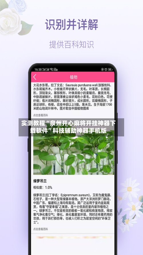 实测教程“泉州开心麻将开挂神器下载软件”科技辅助神器手机版-第2张图片