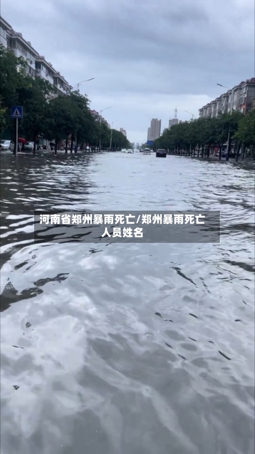 河南省郑州暴雨死亡/郑州暴雨死亡人员姓名-第2张图片