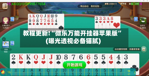 教程更新!“微乐万能开挂器苹果版”(曝光透视必备猫腻)-第2张图片