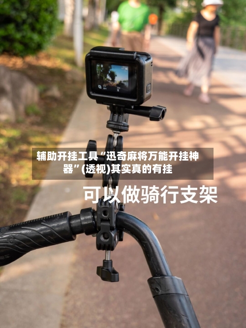 辅助开挂工具“迅奇麻将万能开挂神器”(透视)其实真的有挂-第3张图片