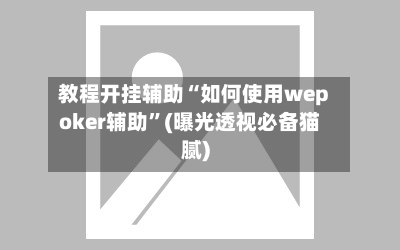 教程开挂辅助“如何使用wepoker辅助	”(曝光透视必备猫腻)-第2张图片