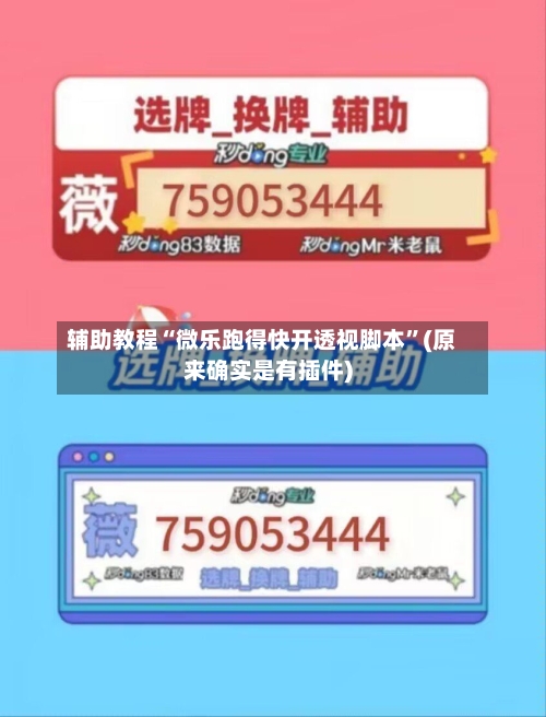辅助教程“微乐跑得快开透视脚本”(原来确实是有插件)