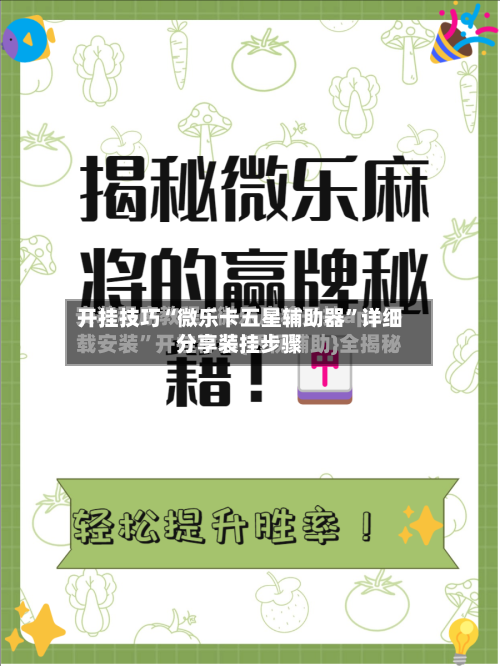 开挂技巧“微乐卡五星辅助器”详细分享装挂步骤-第3张图片