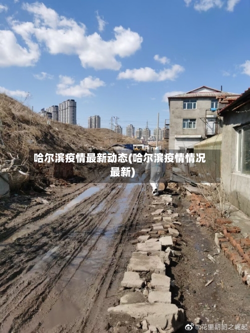 哈尔滨疫情最新动态(哈尔滨疫情情况最新)