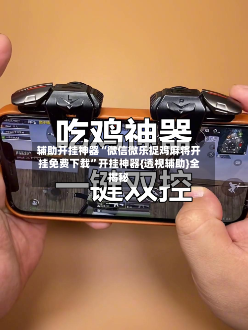 辅助开挂神器“微信微乐捉鸡麻将开挂免费下载	”开挂神器{透视辅助}全揭秘-第2张图片