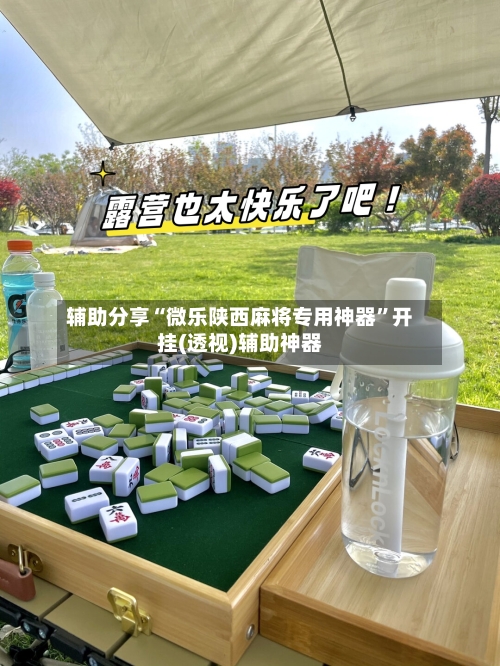辅助分享“微乐陕西麻将专用神器”开挂(透视)辅助神器-第3张图片
