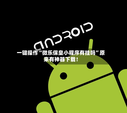一键操作“微乐保皇小程序有挂吗”原来有神器下载！-第2张图片