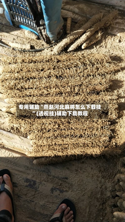 专用辅助“燕赵河北麻将怎么下载挂”(透视挂)辅助下载教程-第2张图片