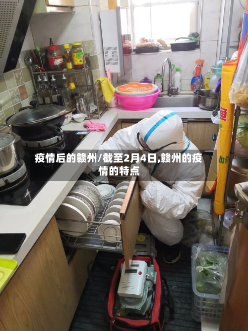 疫情后的赣州/截至2月4日,赣州的疫情的特点-第2张图片