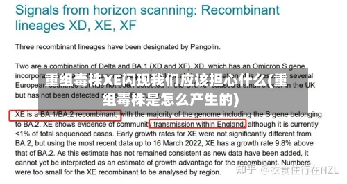 重组毒株XE闪现我们应该担心什么(重组毒株是怎么产生的)