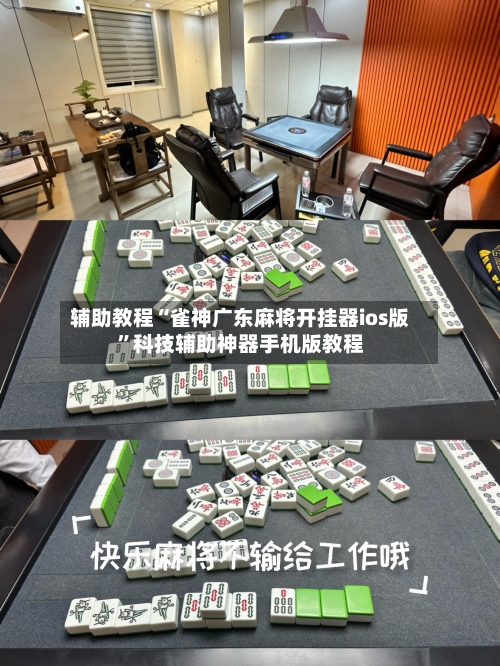 辅助教程“雀神广东麻将开挂器ios版”科技辅助神器手机版教程-第2张图片