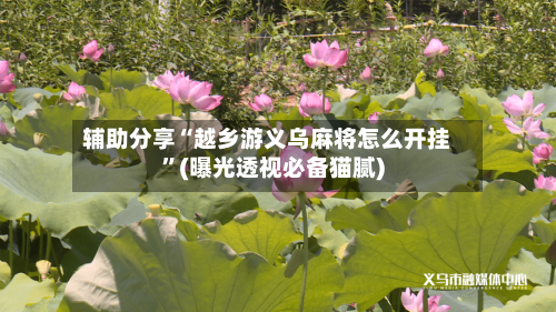 辅助分享“越乡游义乌麻将怎么开挂”(曝光透视必备猫腻)