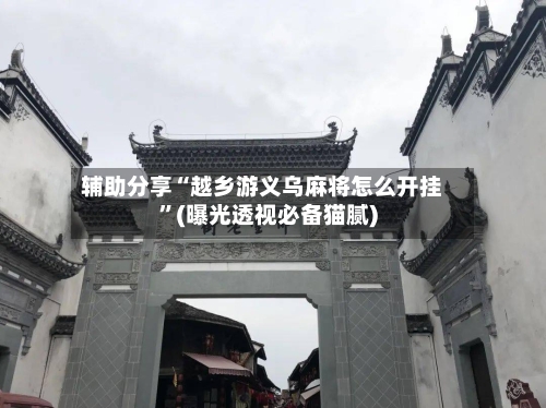 辅助分享“越乡游义乌麻将怎么开挂”(曝光透视必备猫腻)-第2张图片