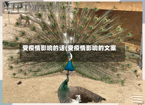 受疫情影响的话(受疫情影响的文案)