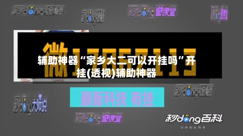 辅助神器“家乡大二可以开挂吗”开挂(透视)辅助神器-第3张图片