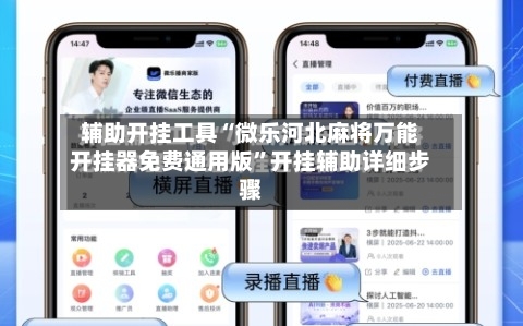 辅助开挂工具“微乐河北麻将万能开挂器免费通用版”开挂辅助详细步骤-第3张图片