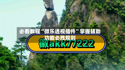 必看教程“微乐透视插件”掌握辅助功能必胜规则-第2张图片