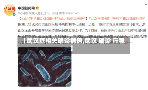 【武汉查相关确诊病例,武汉 确诊 行程】-第2张图片