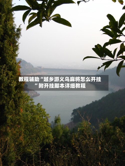 教程辅助“越乡游义乌麻将怎么开挂	”附开挂脚本详细教程-第3张图片