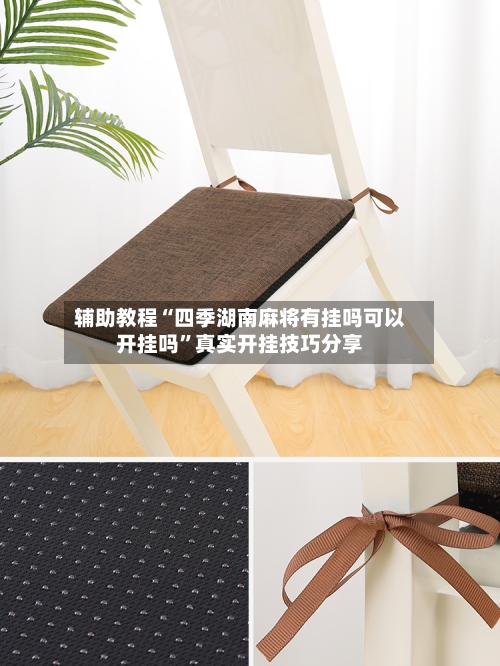 辅助教程“四季湖南麻将有挂吗可以开挂吗	”真实开挂技巧分享-第2张图片