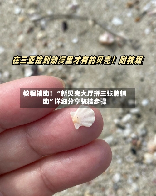 教程辅助！“新贝壳大厅拼三张牌辅助”详细分享装挂步骤-第3张图片