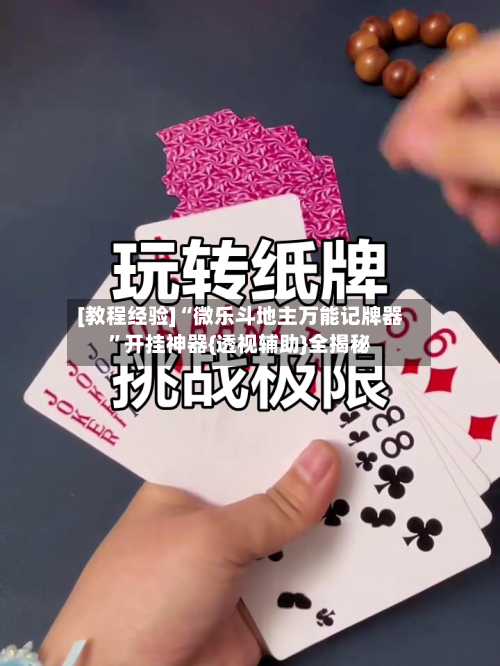 [教程经验]“微乐斗地主万能记牌器”开挂神器{透视辅助}全揭秘-第3张图片